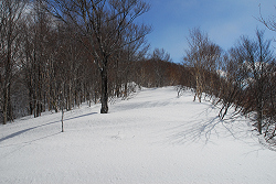 五輪山　ごりん高原　2013年2月10日