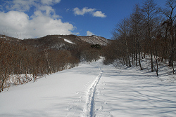 五輪山　ごりん高原　2013年2月10日