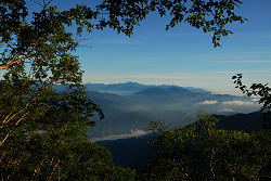 麦草岳