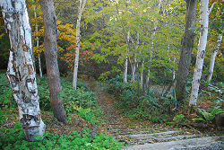 登山道入口