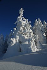 根子岳　2013年2月23日