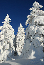 根子岳　2013年2月23日