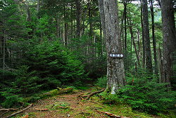 松峯小屋分岐