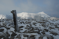 湯の丸山　2013年1月20日