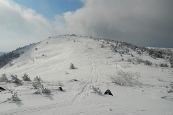 湯の丸山　2013年1月20日