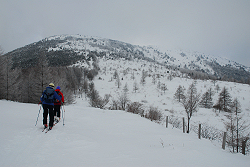 湯の丸山　2013年1月20日