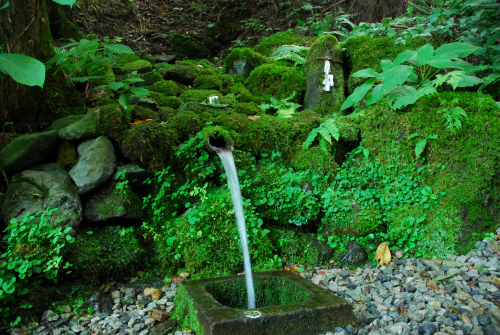 唐沢山　2013年8月26日