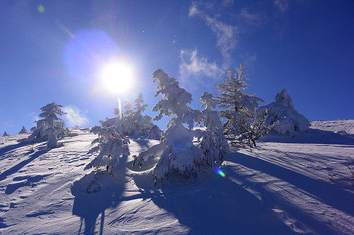 湯の丸山　2014年12月27日