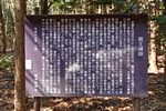 龍王城跡 2016年3月27日