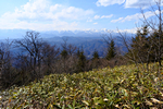 たらら山 2016年3月27日