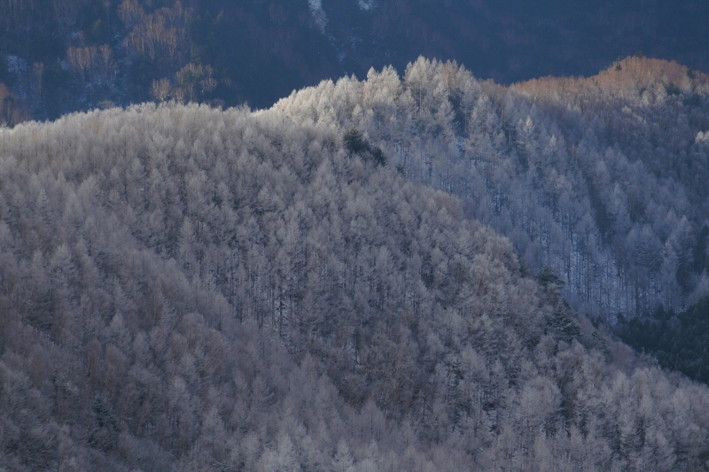 本沢温泉 2019年1月6日