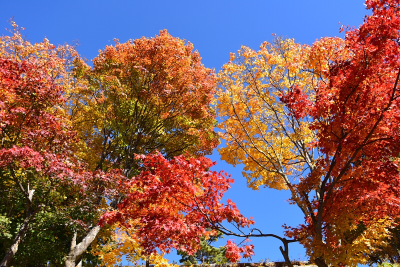 前掛山 2018年10月28日