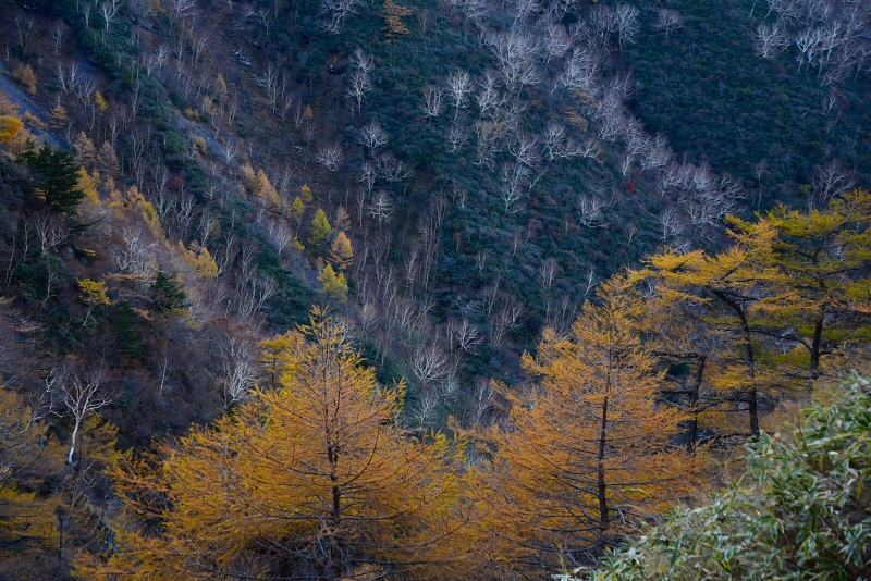 前掛山 2018年10月28日