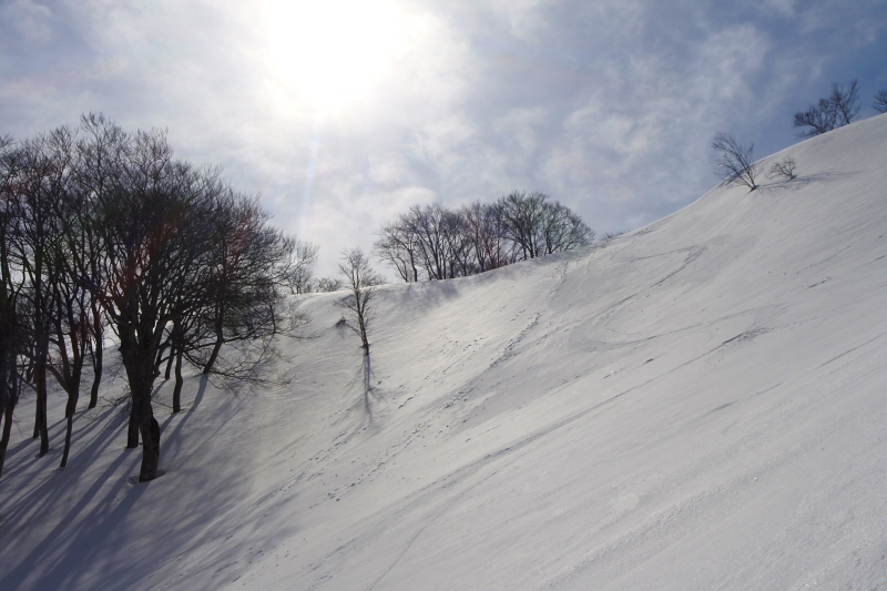 鍋倉山 2019年3月3日