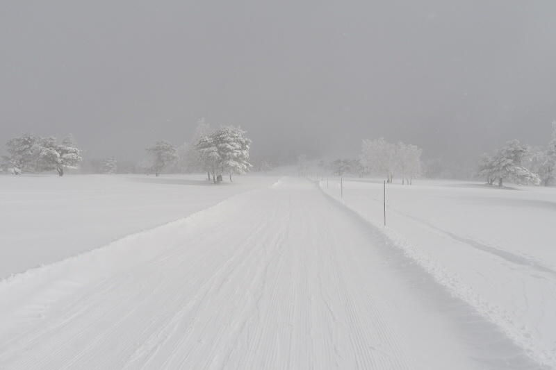 根子岳 2019年1月27日