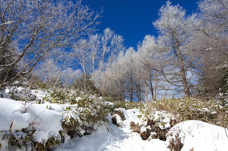 湯ノ丸山 2019年1月3日