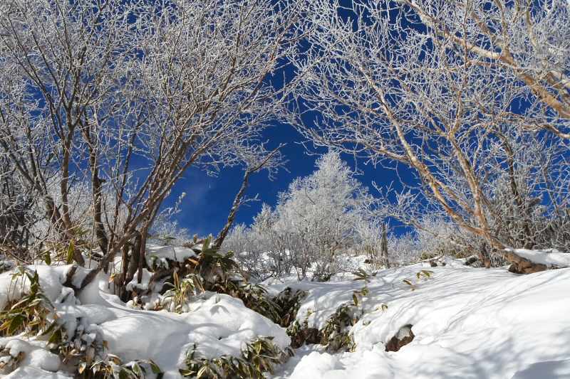 湯ノ丸山 2019年1月3日