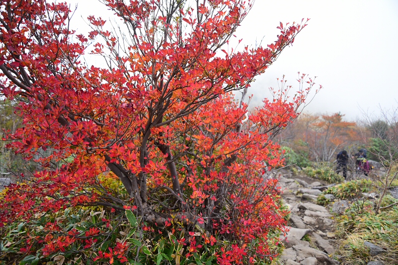 湯ノ丸山 角間山 2018年10月8日