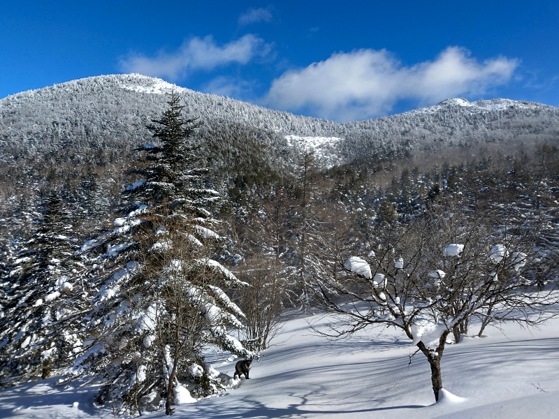 東篭の塔山 2021年1月30日