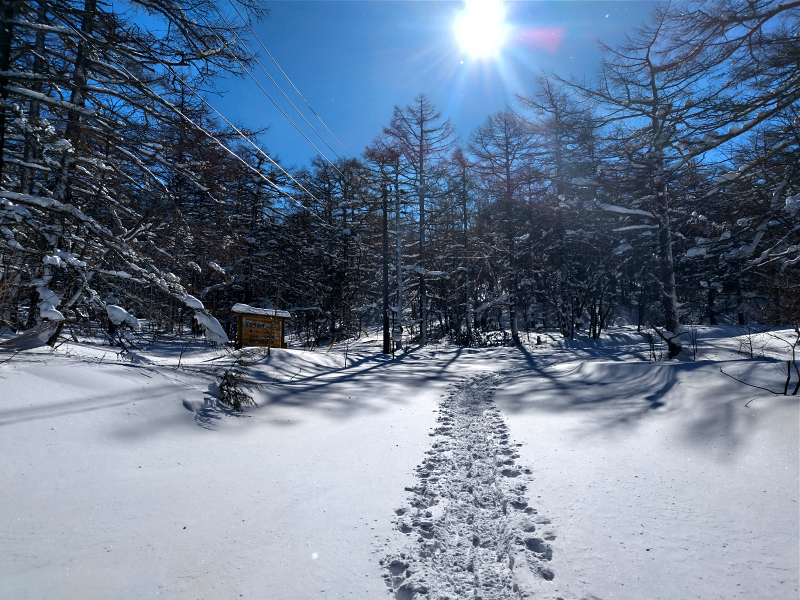 東篭の塔山 2021年1月30日