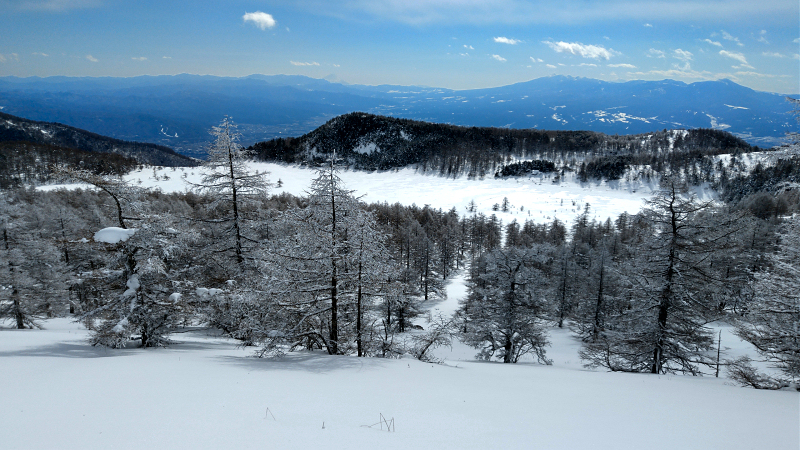 東篭の塔山 2021年1月30日