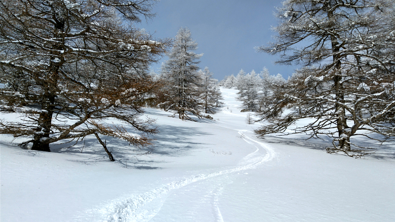 東篭の塔山 2021年1月30日