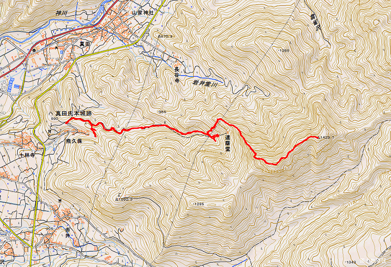 達磨山 2022年5月18日