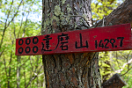 達磨山 2022年5月18日