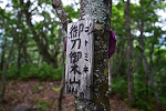 御刀御木山 2022年7月18日