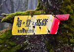 篭の塔山 2022年10月8日