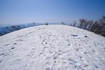 鍋倉山 2022年4月10日
