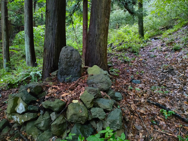太郎山山系 魚ノ沢コース
