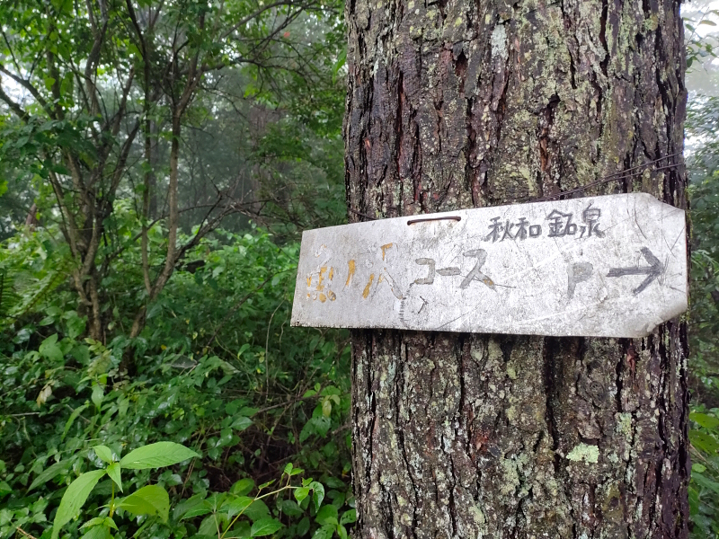 太郎山山系 魚ノ沢コース