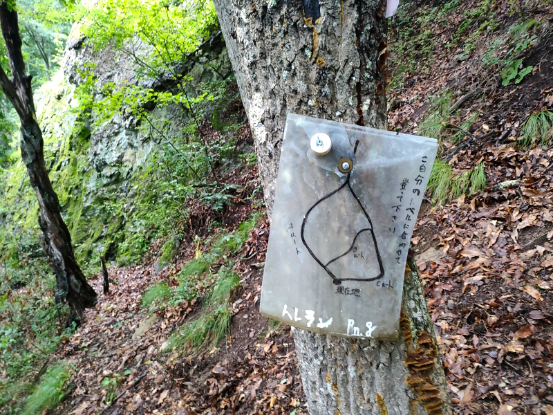 太郎山山系 魚ノ沢コース