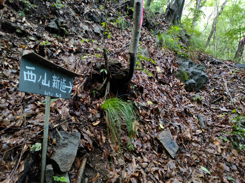 太郎山山系 魚ノ沢コース