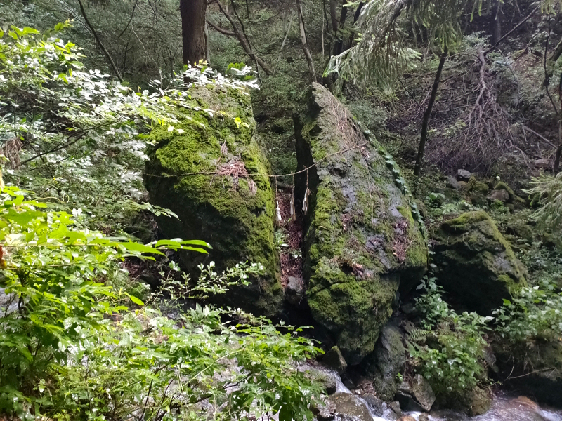 太郎山山系 魚ノ沢コース