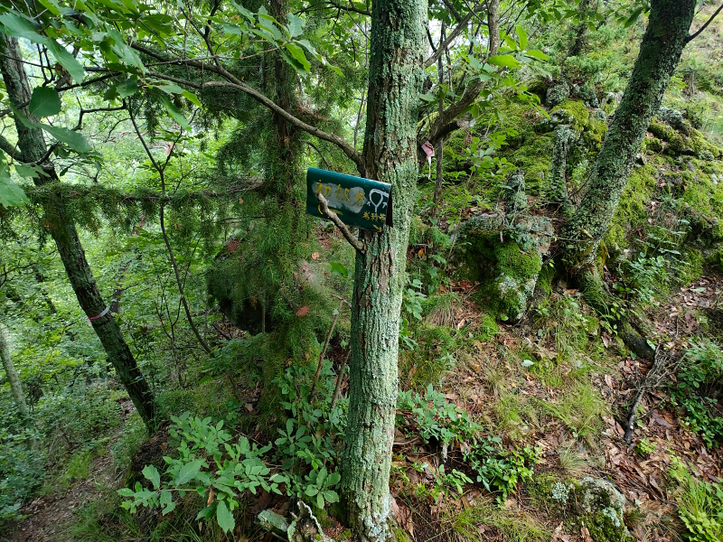 太郎山山系 魚ノ沢コース