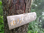 虚空蔵山 魚ノ沢コース