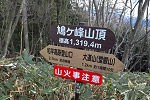 @2024N1123