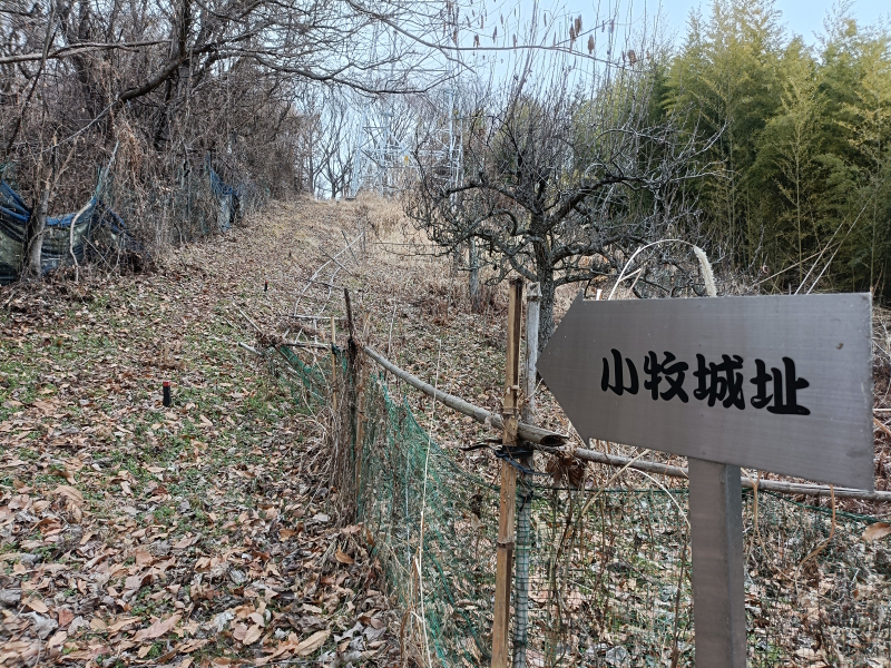 ���q�隬�@2026�N1��24��